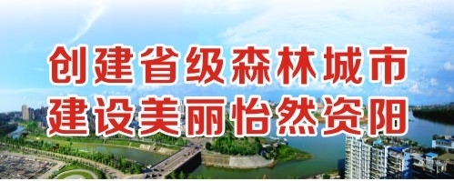 伸逼视频创建省级森林城市 建设美丽怡然资阳